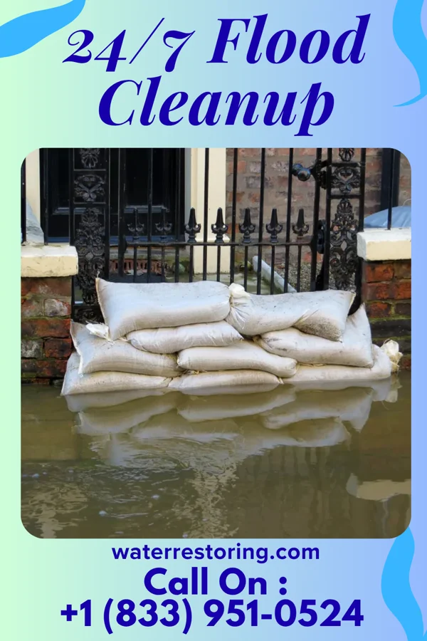 24/7 Flood Cleanup in Forest Lake, IL