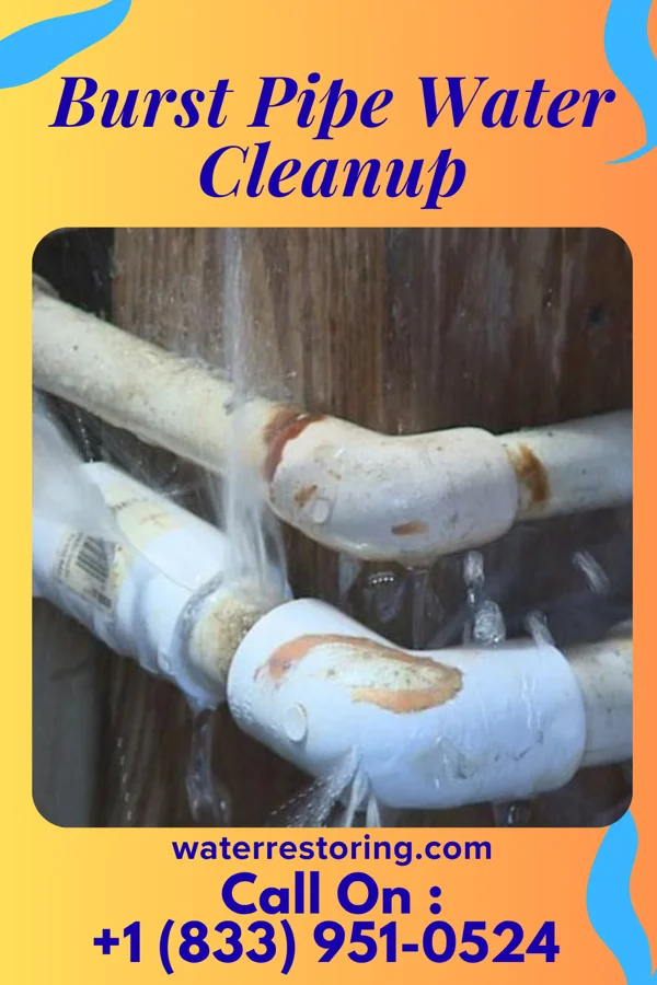 Burst Pipe Water Cleanup in Forest Lake, IL