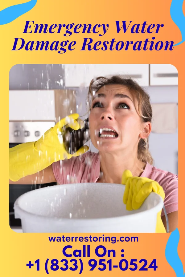 Emergency Water Damage Restoration in Forest Lake, IL