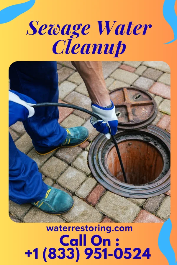 Sewage Water Cleanup in Forest Lake, IL