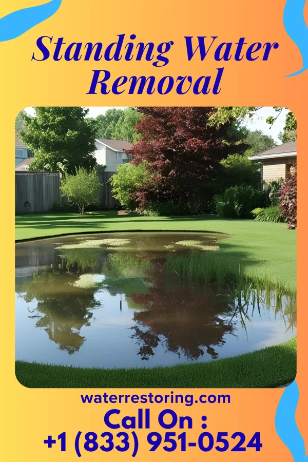 Standing Water Removal in Forest Lake, IL